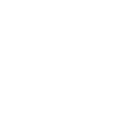 Bushnell Gece Görüş Dürbünü - 3X30 EQUINOX Z 2014 DIGITAL 